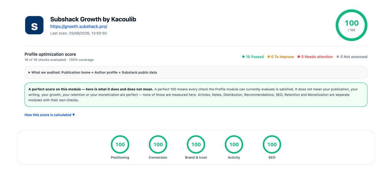 The Subshack profile audit report: a publication scored 100 out of 100, with 16 of 16 checks evaluated and per-axis scores for positioning, conversion, brand & trust, activity and SEO.